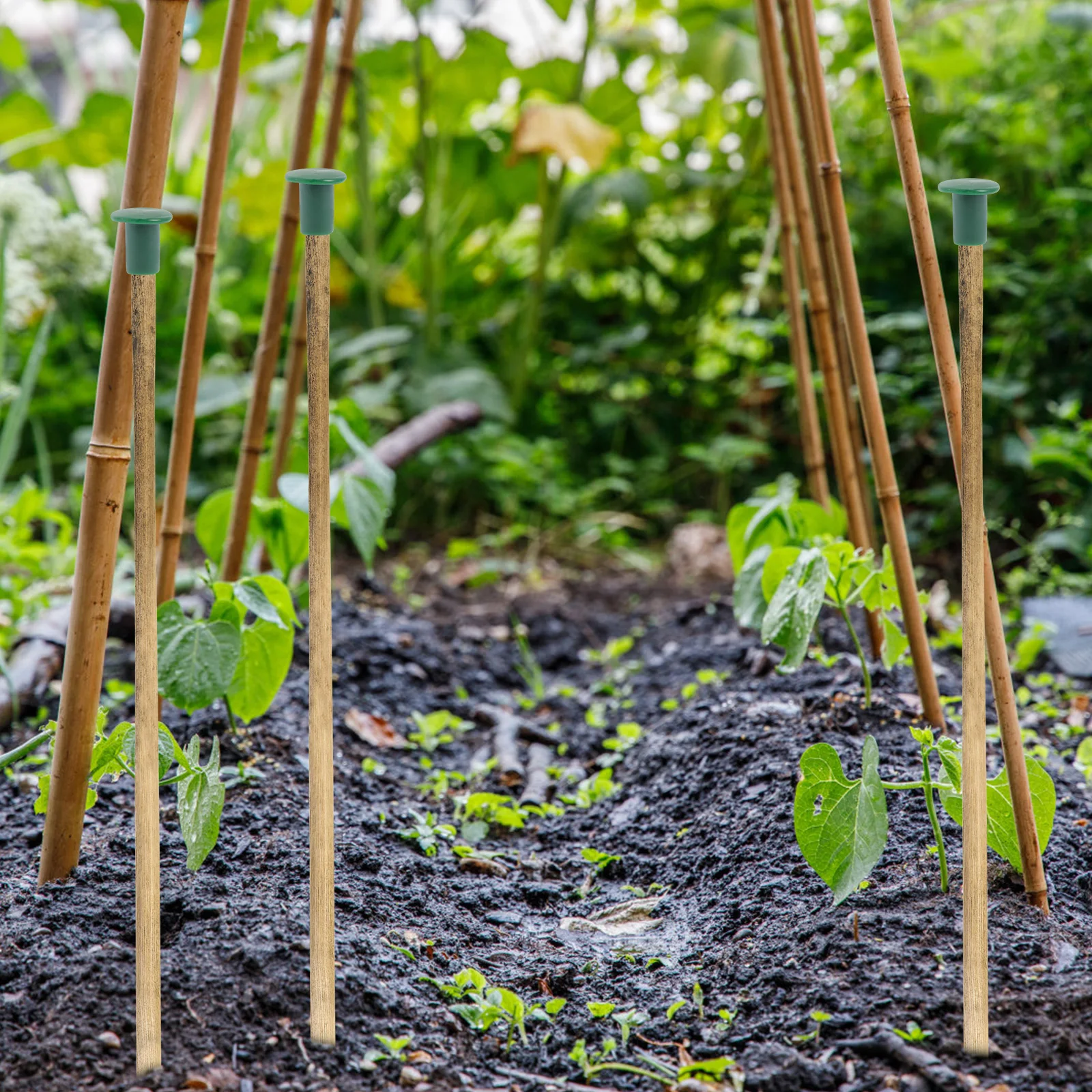 

36 Pcs Plant Support Stick Protective Caps Cane Covers Topper Garden Bamboo Hat Sleeve Rod Covers