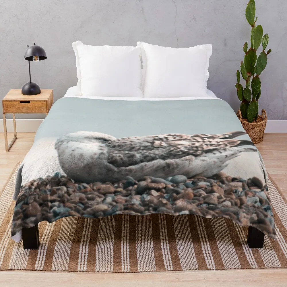 Sleepy Sea Gull on a Pebbly Beach Throw Blanket Blankets For Bed Bed covers Hair Blankets