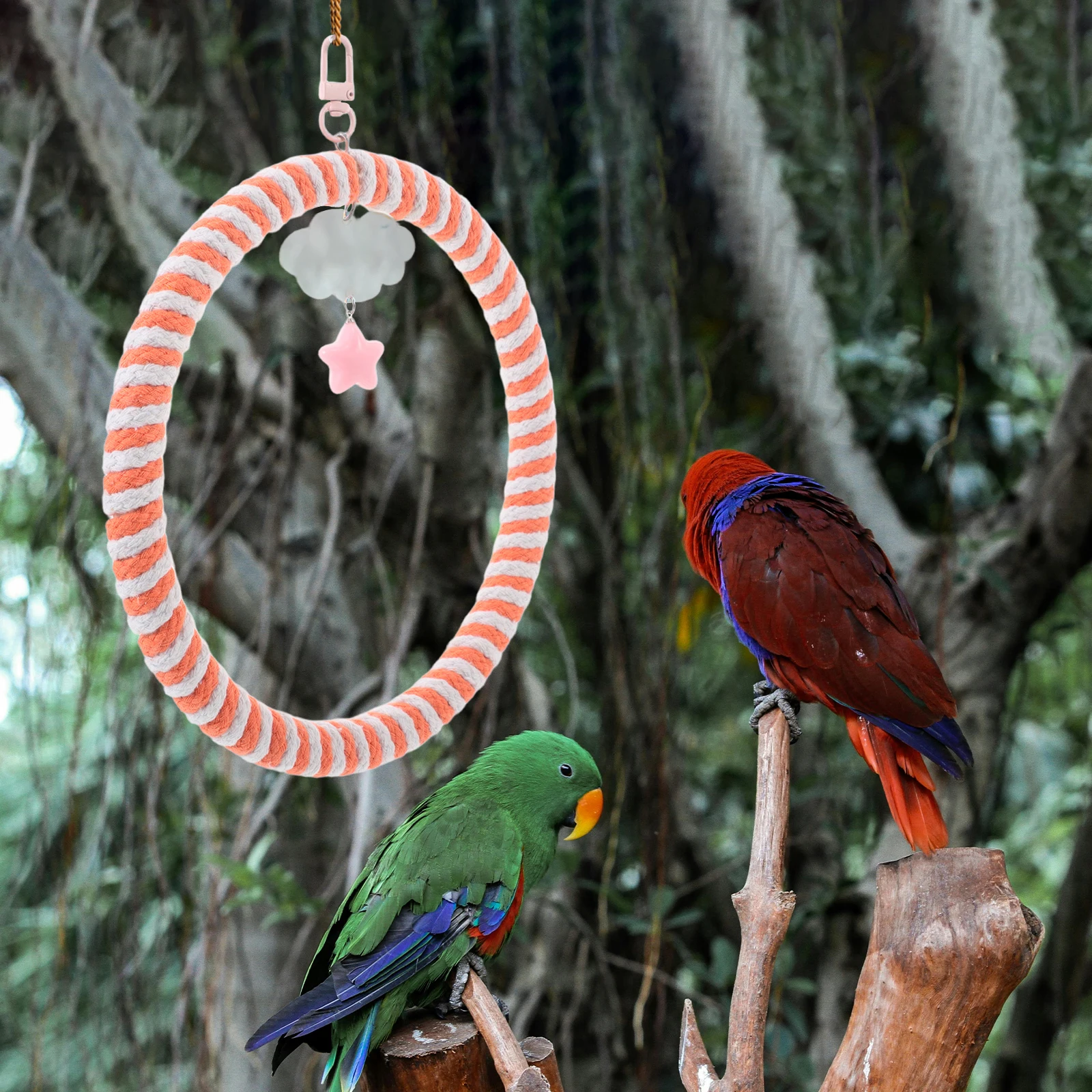 

Multifunctional Chewing Parrot Playstand Perch Swing Stand Parakeet Chew Cockatiel Bird Cage Accessories Parrot Cage Playstand