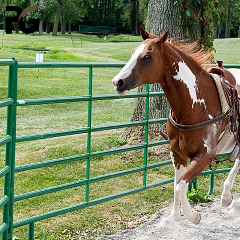 

Direct Factory Farm Animal Used Livestock Fence Horse Yard Panel Galvanized Portable Cattle Fence Corral Panels for Sale