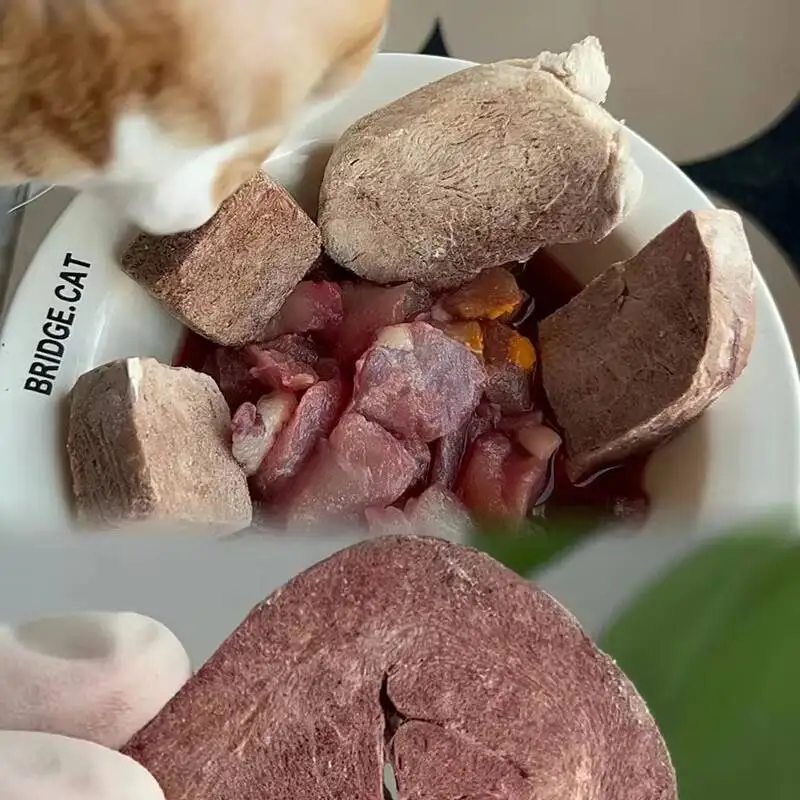 الطب العشبي الصيني المنزلي وجبات خفيفة للحيوانات الأليفة كورديسيبس صدر الدجاج دوريان الفاكهة والخضروات الحلوى فراغ مجفف بالتجميد