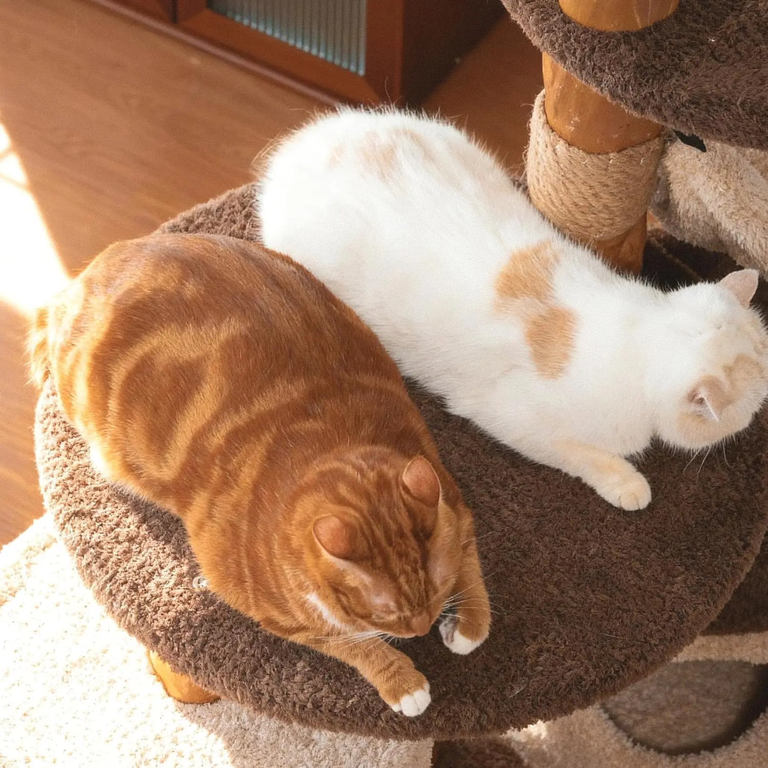 Solid Wood Cat Tree 68