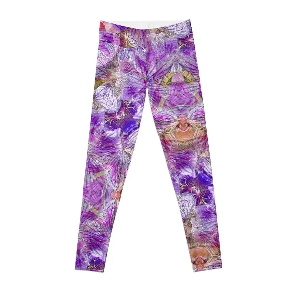 PURPLE GERANIUM MADNESS MANDALA Leggings gym pants Women's high waist harem pants Womens Leggings