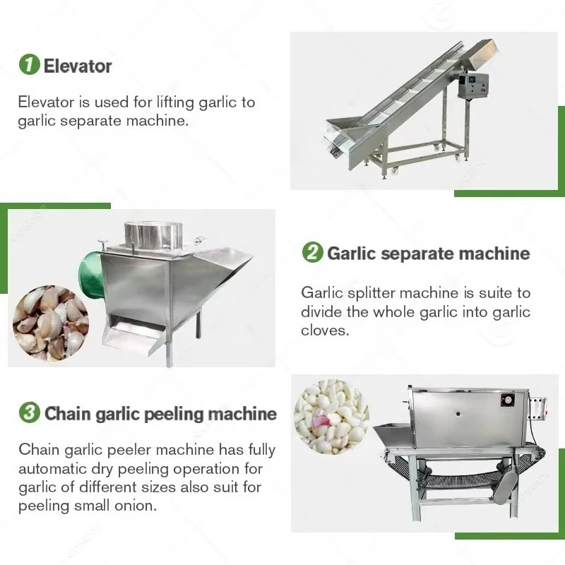 Garlic Processing Line High Efficiency Peeling Machine Automatic Separating Unit for Commercial Food Processing
