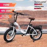 E Bike Folding 750W Powerful Motor 48v20ah Samsung Battery Adjustable Speed Electric Bike 20*4.0 Inch Fat Tire Electric Bicycle