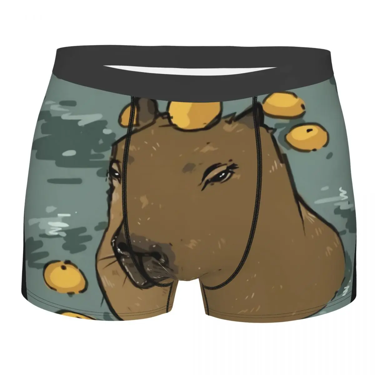 Kawaii Man's Boxer Briefs Underpants Capybara Highly Breathable Top Quality Sexy Shorts Gift Idea