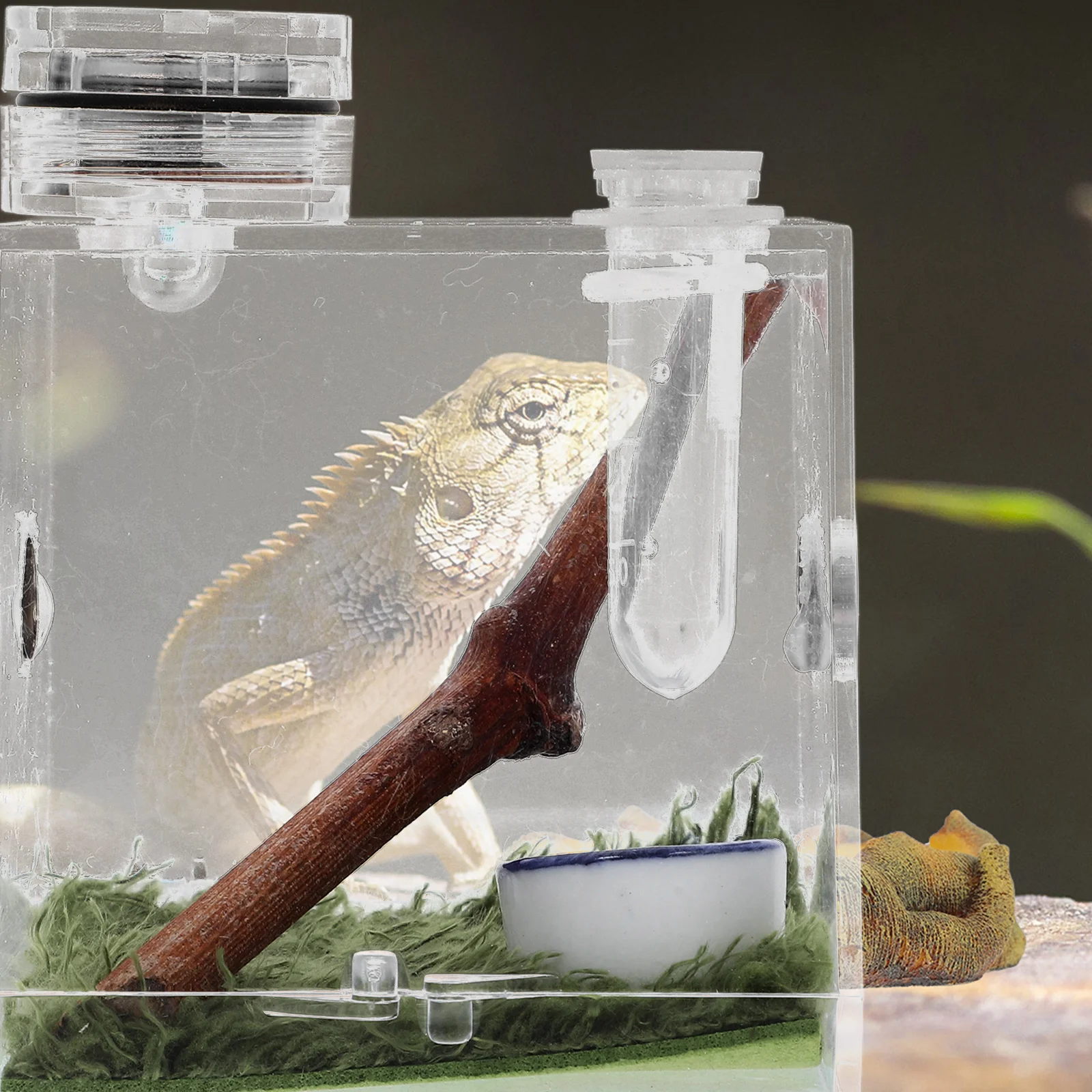 

2pcs Jumping Spider Breeding Box Clear Acrylic Insect House Habitat Cage Non Escape Design Easy Observation Cleaning Pet