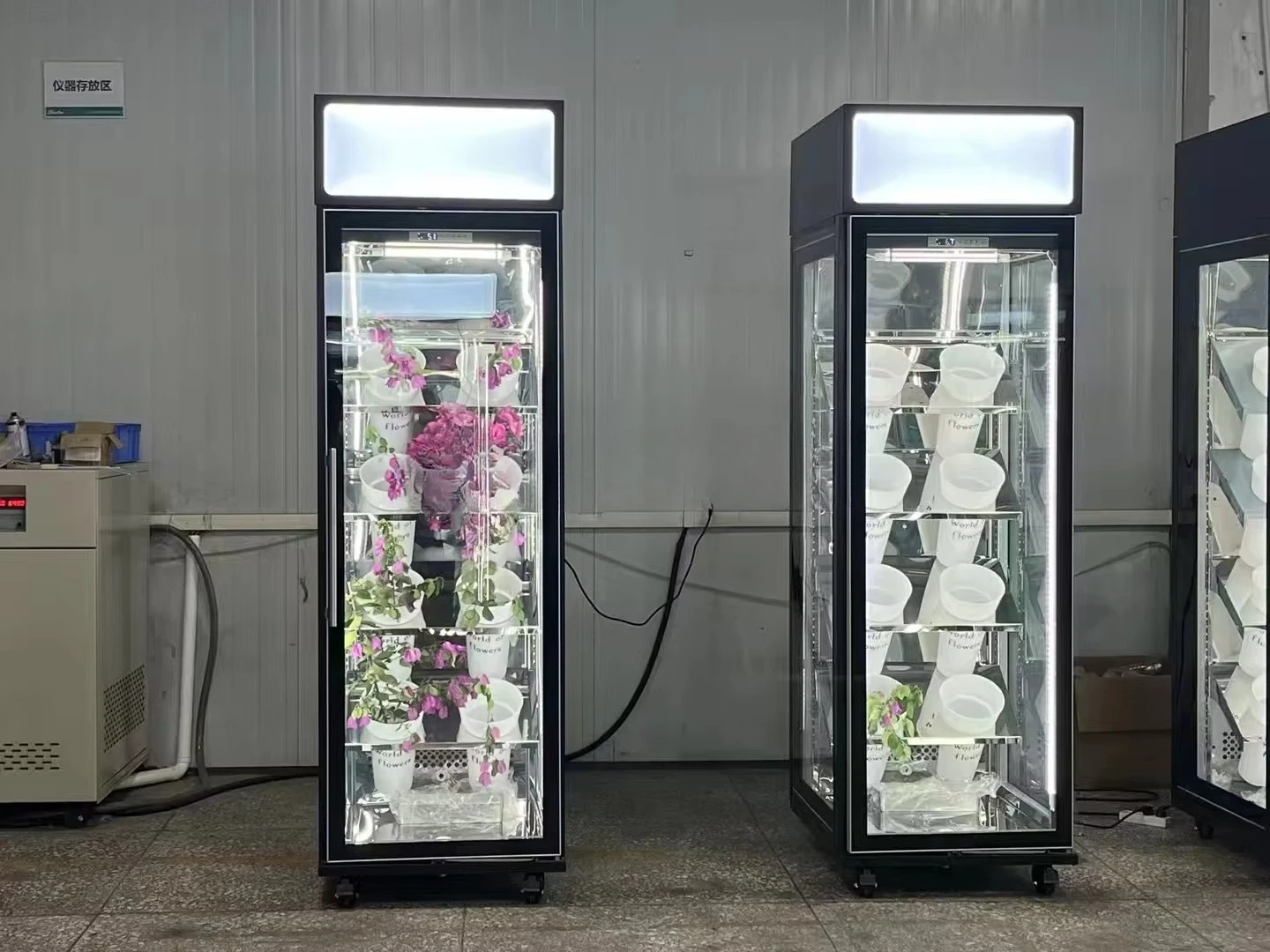 Single Door Flower Cooler Full Glass Display Glass Cabinet with Light Emitting Diode Display Head