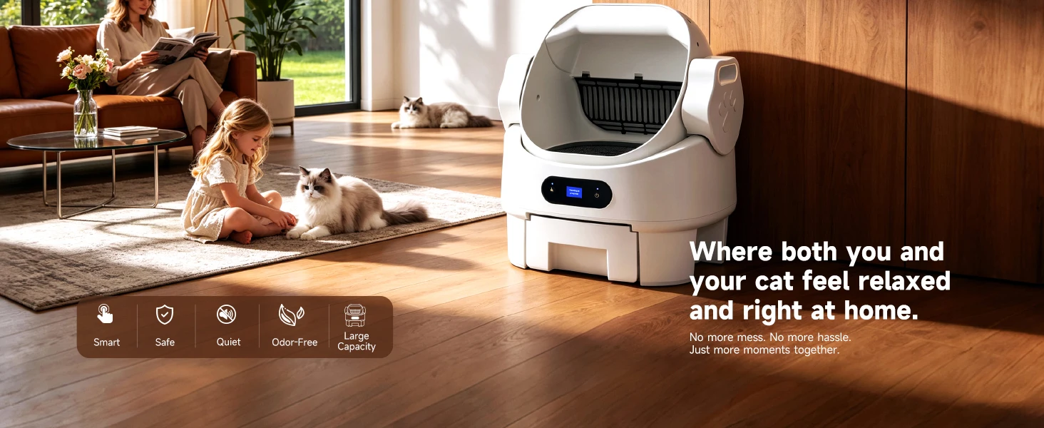 Where both you and your cat feel relaxed and right at home