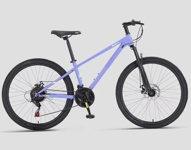 WWE 2026 Chinese factory new steel disc brakes 24-speed full professional road bike J ee p bike