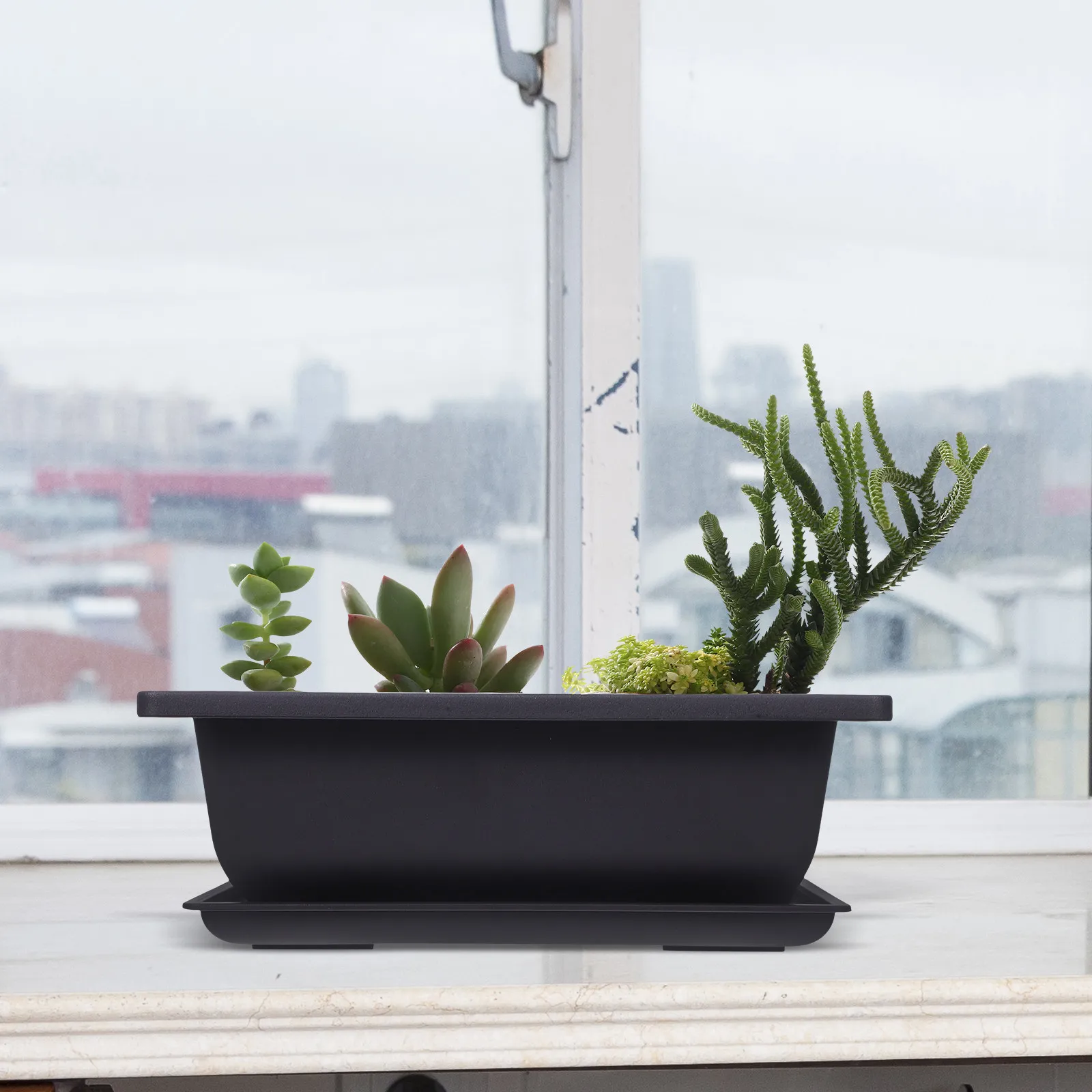Rectangular Plastic Plant Pots Elegance Bonsai Training Containers Succulent Flower Pots Reusable Drainage Ready