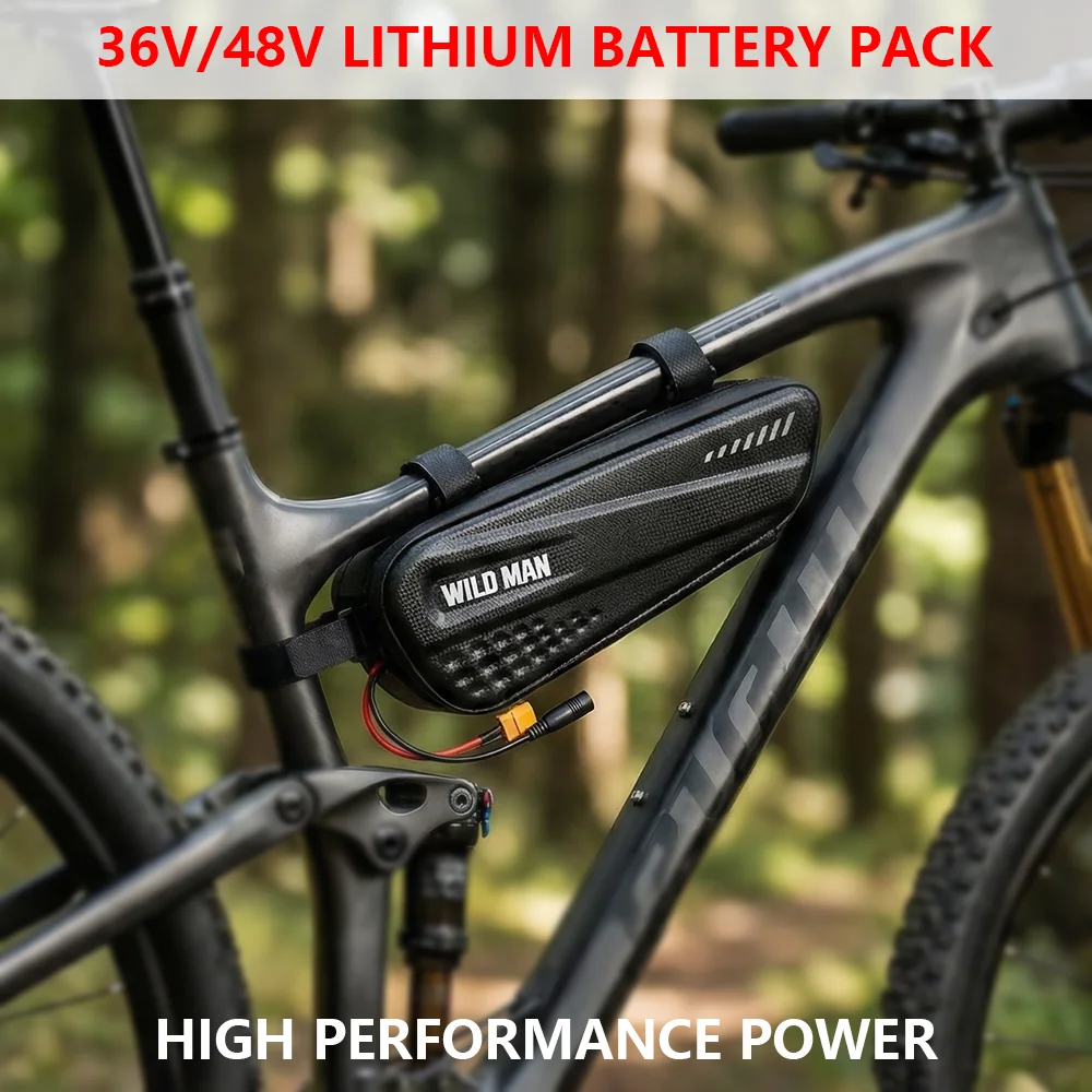 

Waterproof 36V 48V Ebike Battery Pack 14Ah 12Ah 10A Li-ion Battery For Electric Bicycle Scooter With 20A BMS Charger XT60 Plug