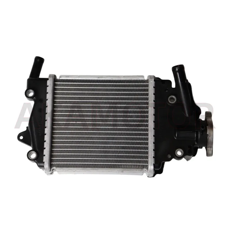 Water Tank Radiator Part for Loncin Voge Sr150gt Lx150t-29 Sk150