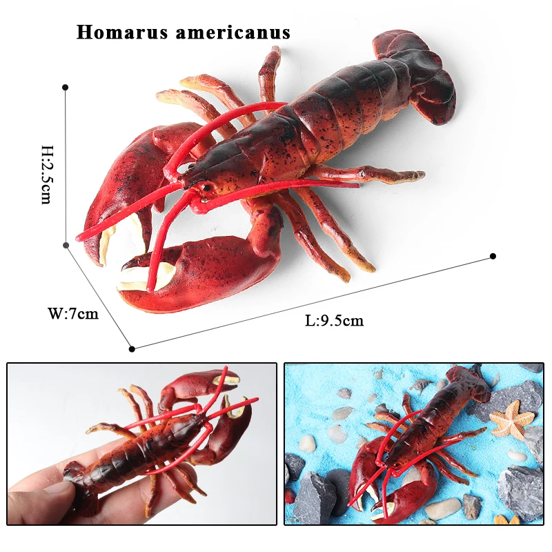 Oenux 海洋動物シミュレーションタイガーエビザリガニエビ海の生物