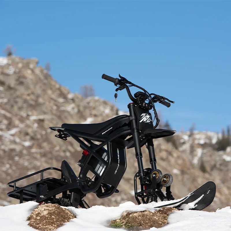 

Ridingtimes GT54PRO 60 В 32 Ач Электрический велосипед для грязи Электрический горный велосипед Электрические велосипеды для грязи Снегоходы на заказ