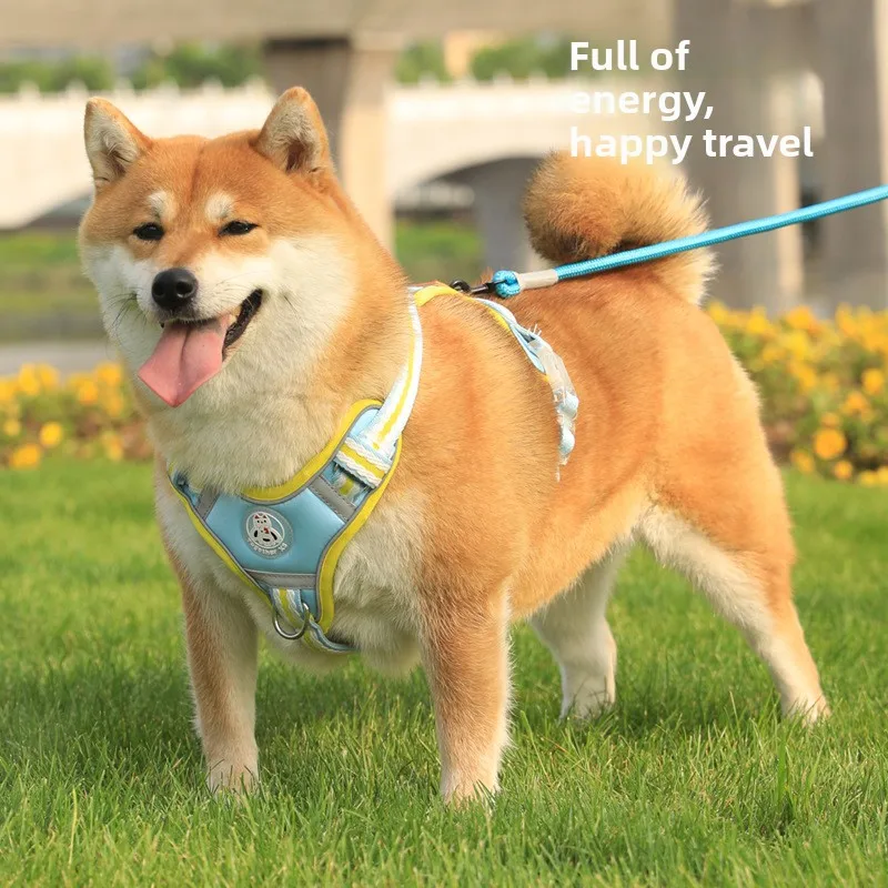 Nouvelle laisse de traction pour animaux de compagnie en maille respirante et lavable, de haute qualité, anti-explosion et réfléchissante, avec harnais réglable pour chien.