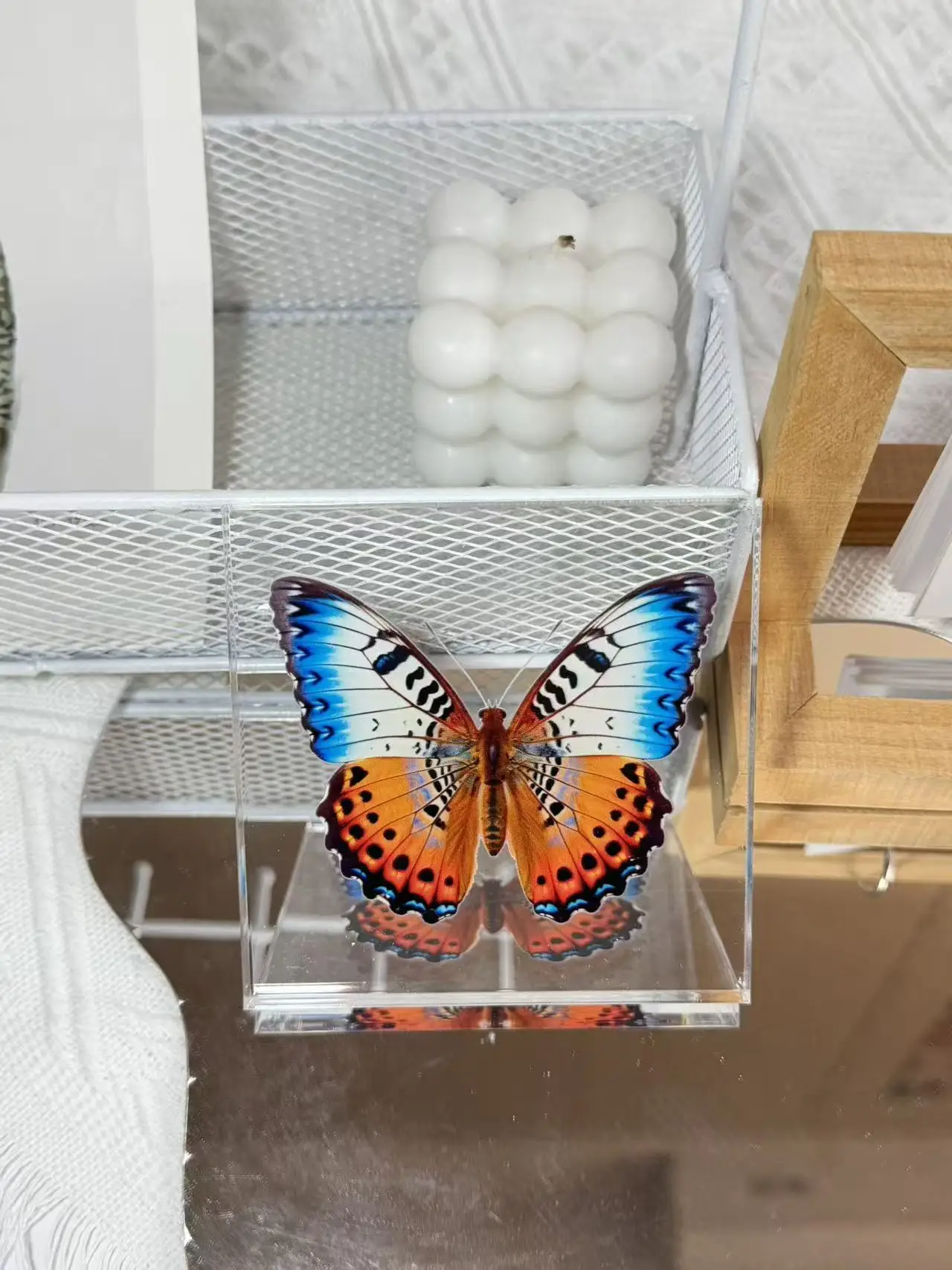 1 Stück Handgefertigtes Schmetterlings-Exemplar als Schreibtischdekoration, Kleine Ornament-Deko für Zuhause, Geschenk für Kinder und Mädchen – Detail 16