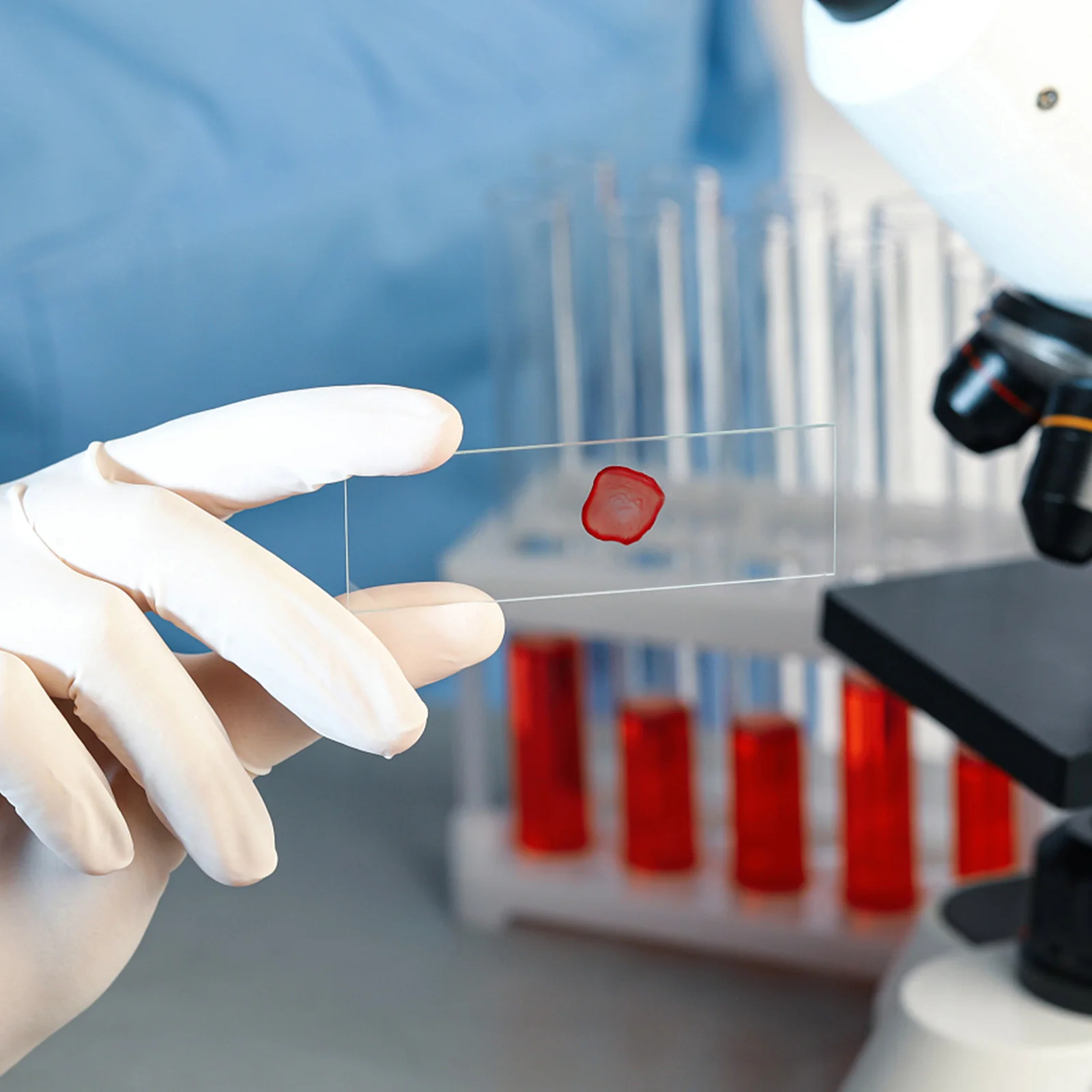 50 Pcs Laboratory Glass Slides Microscope Blank Accessories for Microscopes Kit Sample