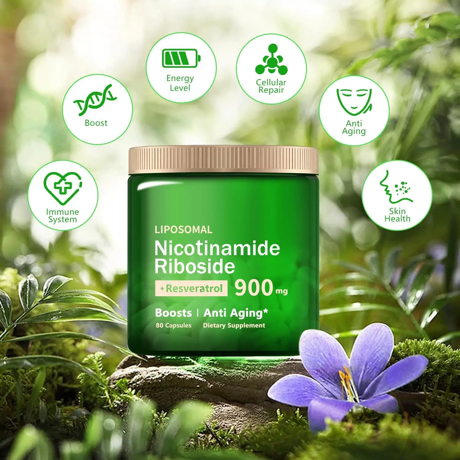 Nicotinamide Riboside Resveratrol,Supplement with Nicotinamide Riboside,Riboside Resveratrol, Supplement for Energy, Focus.