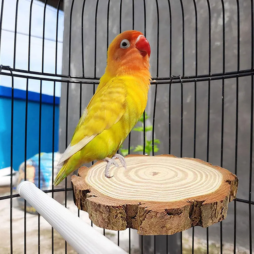 

2 Pcs Pinewood Bird Station Board Stand Birds Pet Parrot Standing Stick Pole Chinchilla