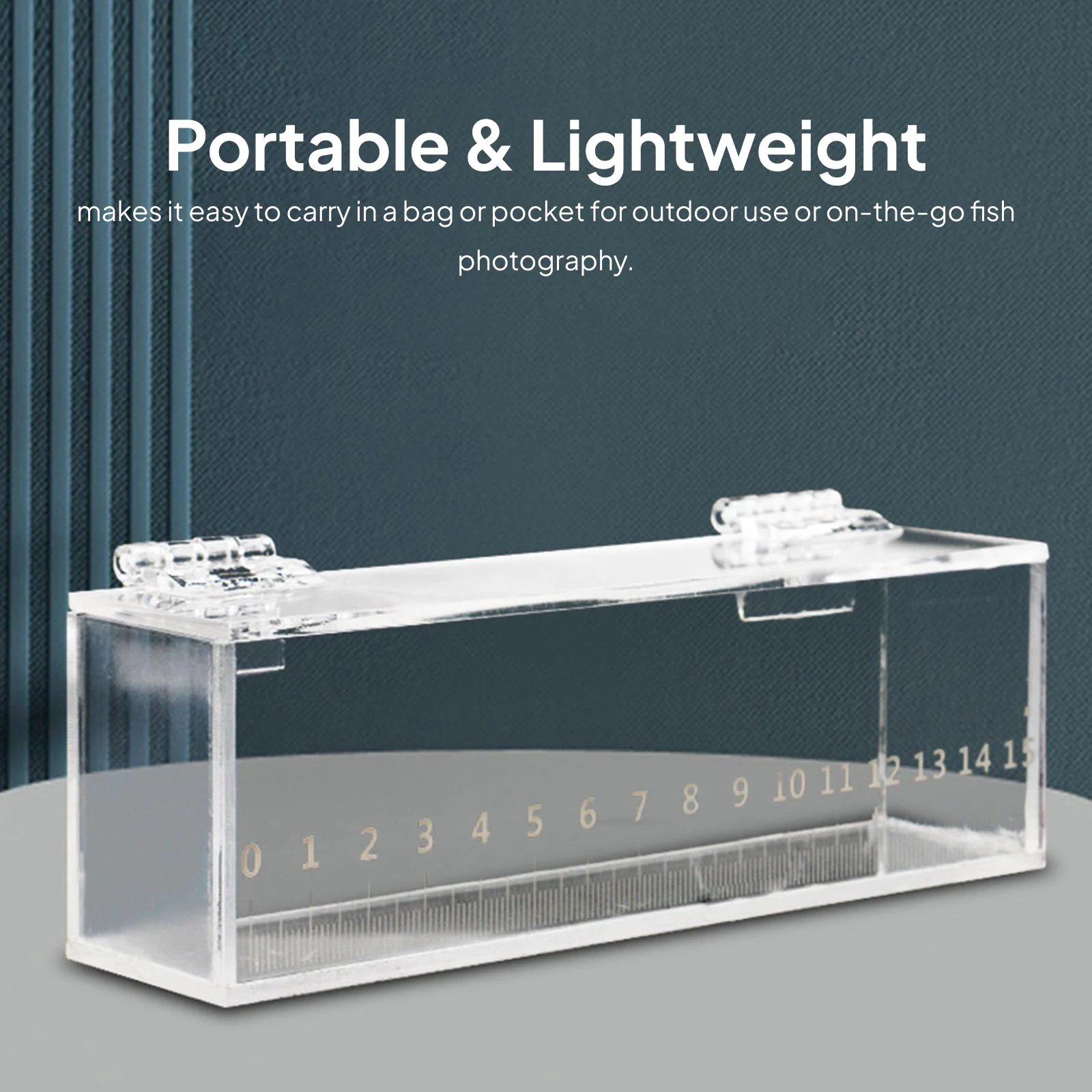 Transparent Acrylic Fish Incubator Observation Box Micro Landscape Mini Aquarium for Accessories for Freshwater Aquarium