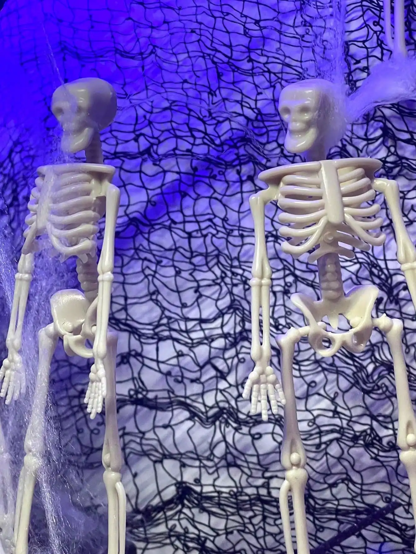 Halloween Decorations Small Plastic Skull Heads