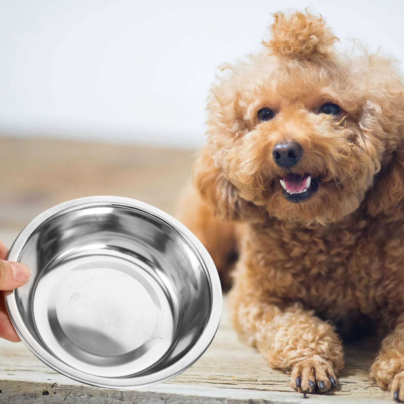 

Hanging Cat Stainless Steel Pet Feeder Black Bracket Medium Size Removable Dog Food Portable Kitten Bowl Practical Choice Pet