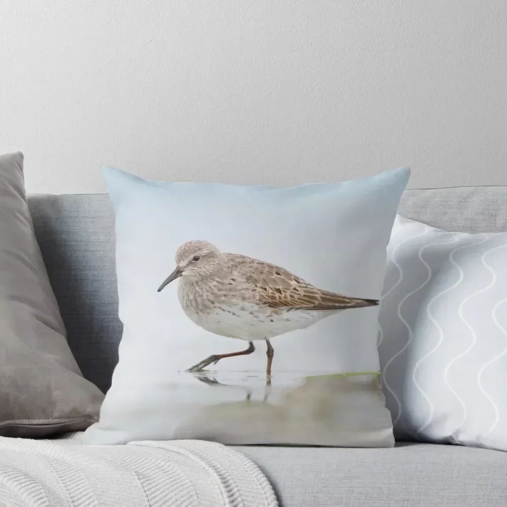 White-rumped Sandpiper. Throw Pillow Decorative Cushions For Living Room Throw Pillow Cushions For Children pillow