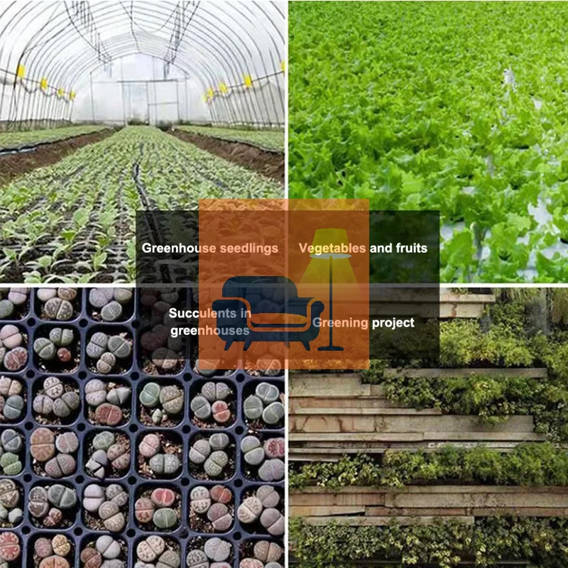 

10 шт. пластиковых лотков для рассады, черные контейнеры для проращивания семян, садовые принадлежности для овощей и цветов