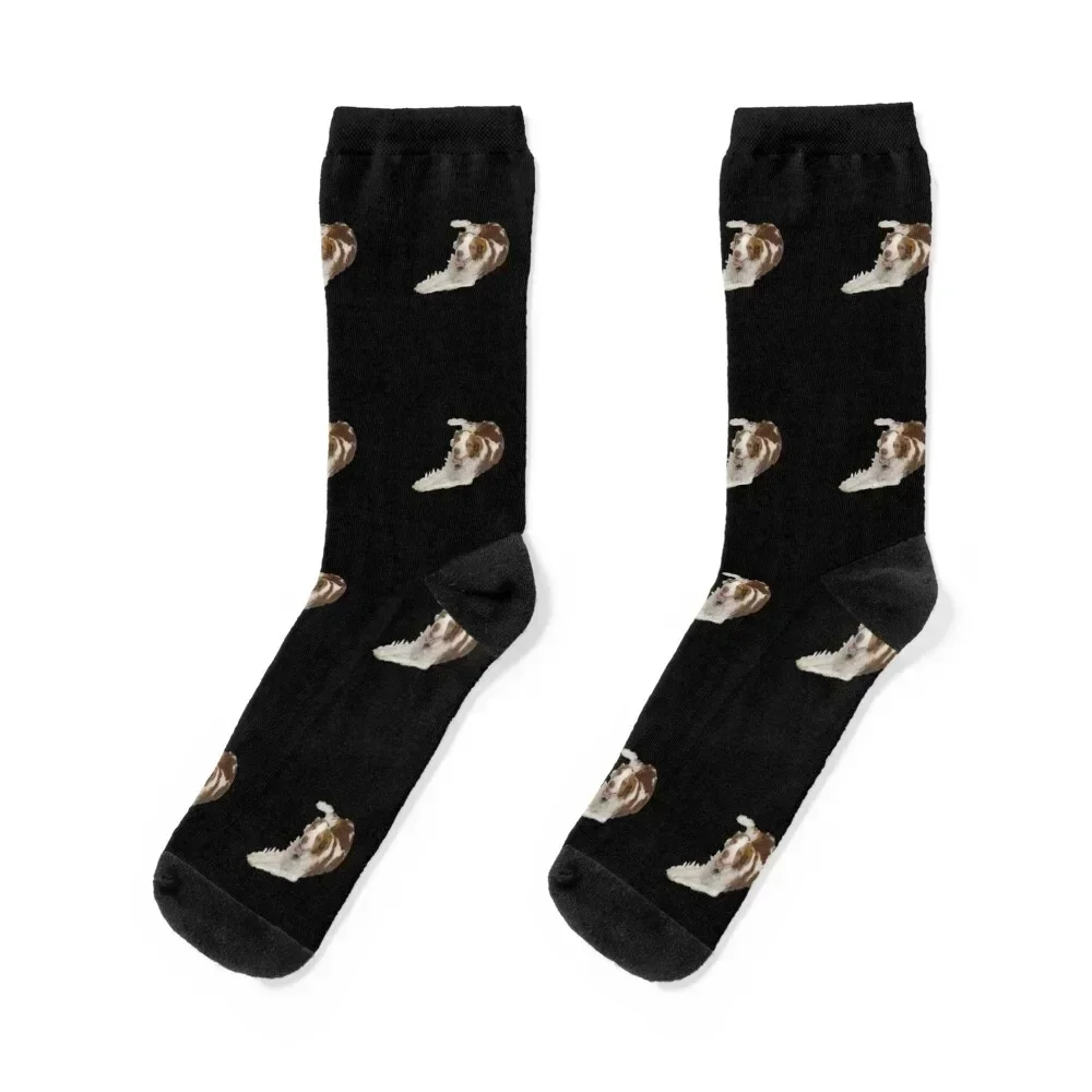 

Smiling Brittany Dog Hunting Dog Sporting Dog Orange and White Brittany Socks Sports funny gifts New year's Women Socks Men's