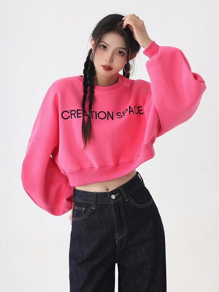 

Embroidered Letter Pink Short Sweatshirts Loose Casual O-Neck Hoodie Women Loose Casual Long Sleeve Pullovers Cropped Tops Trend