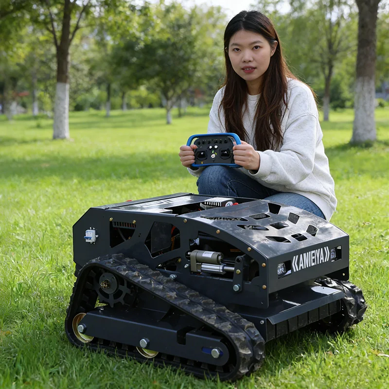 

Customized Manufacturer direct sales two-stroke lawn mower, lawn mower, weed remover, multifunctional small orchard law