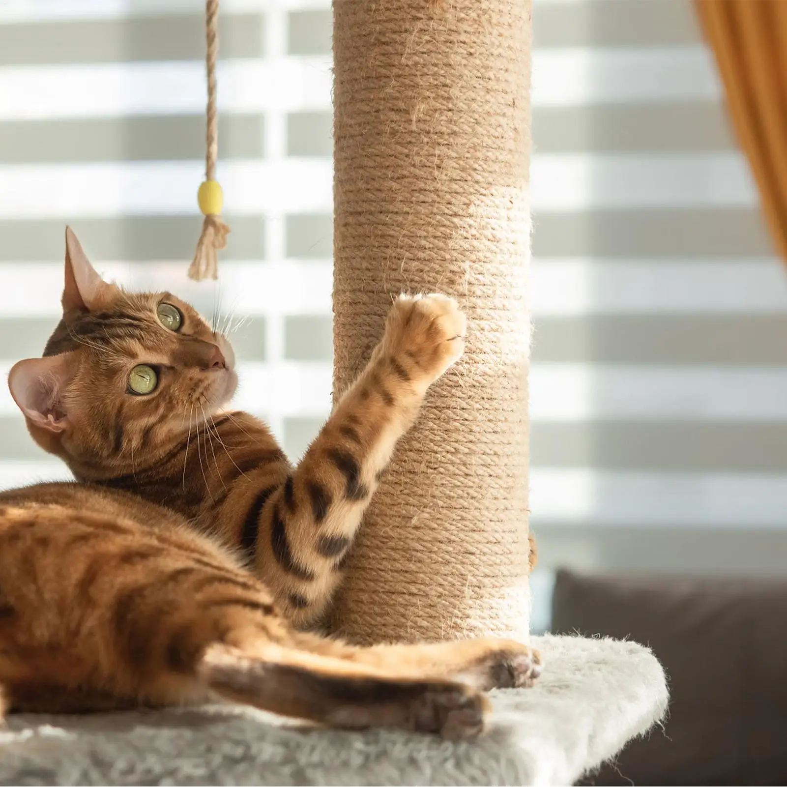 サイザル麻縄-猫用爪とぎ修理用ひも-クライミングロープ-爪とぎポスト用巻き綱-家庭用家具-テーブル-リビングルームの椅子用