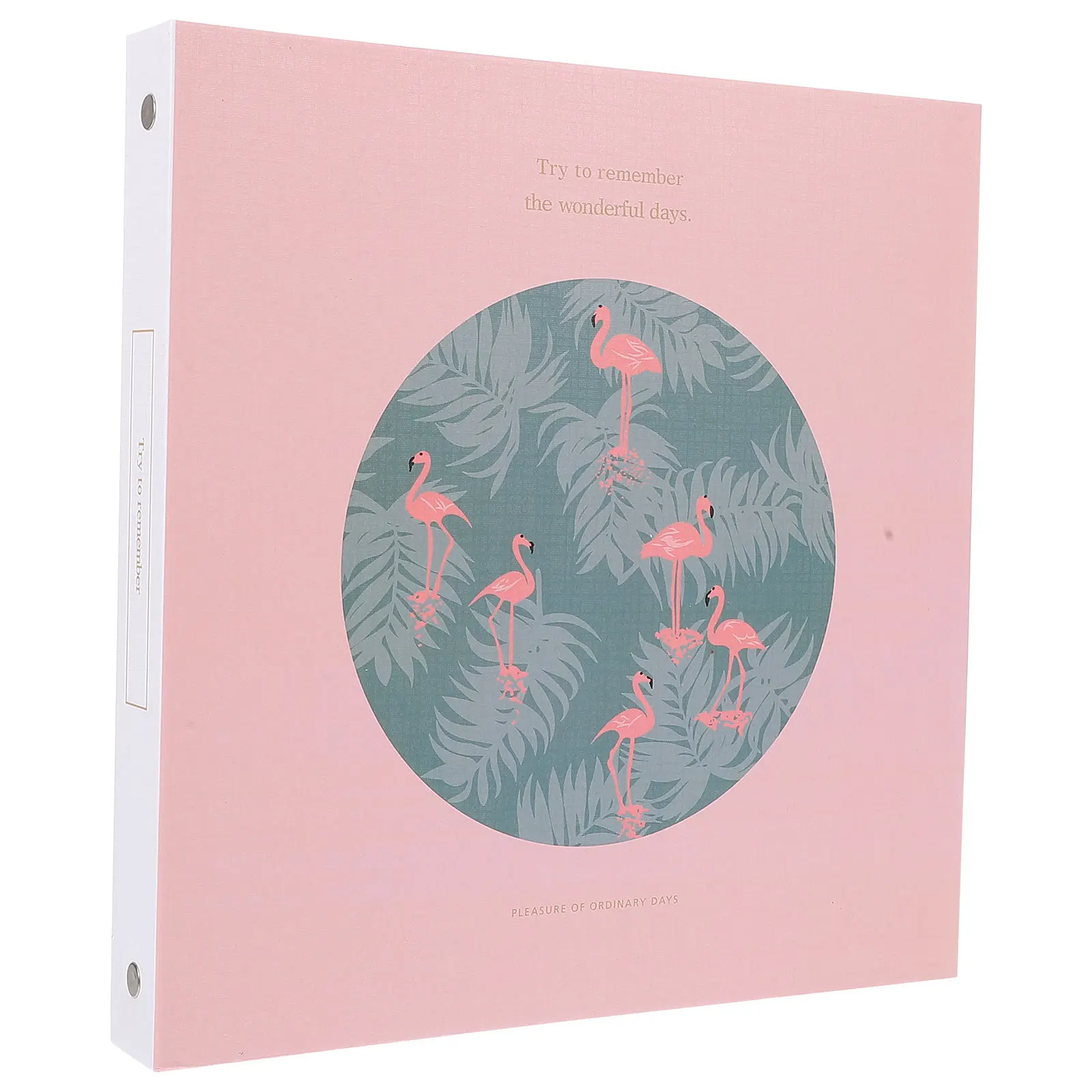 Album Penyimpanan Bunga Kering Tempat Spesimen Bunga yang Ditekan Mudah Digunakan Buku Koleksi Tanaman Portabel untuk Dewasa DIY