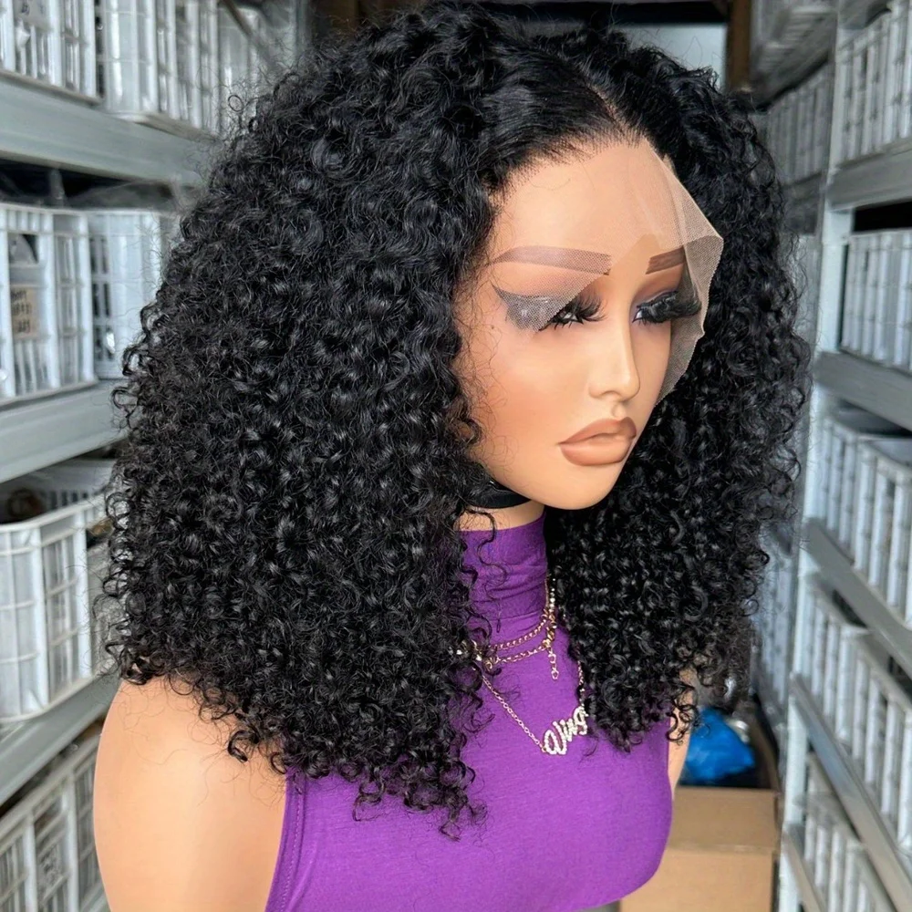 مصنع الجملة جيري مجعد الدانتيل الجبهة الباروكات شعر الإنسان قبل قطعها 13x4 HD الدانتيل الشفاف شعر مستعار أمامي غلويليس الباروكات الأمامية #2