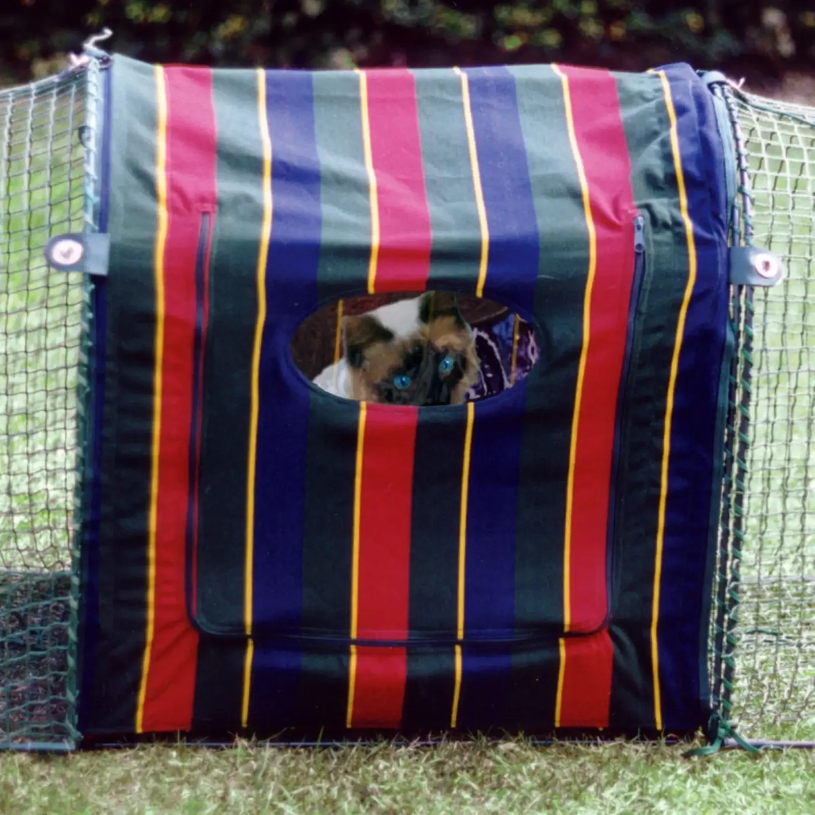 

Clubhouse Cat Cage, Striped, 24" x 18" x 24"
