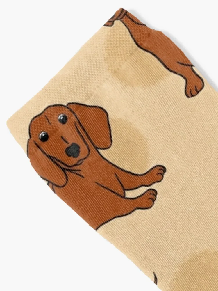 Brown Smooth Dachshund Pattern Sticker Pack Socks sheer sports and leisure Sports hiphop Men Socks Luxury Brand Women's