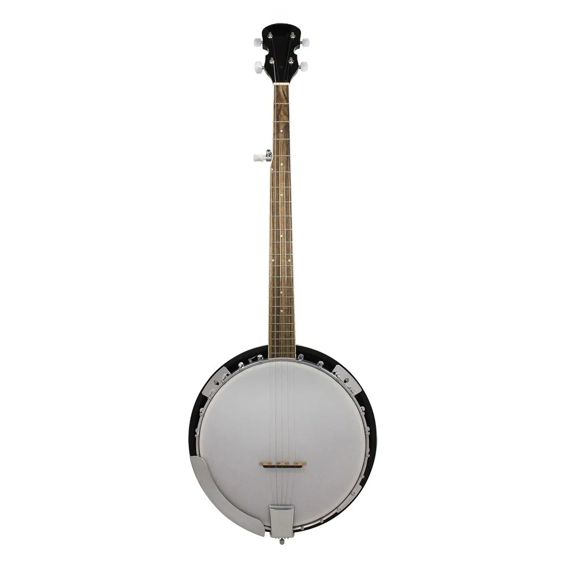 Banjo de cuerda instrumento popular occidental, turtledove y adultos aprendiendo a jugar