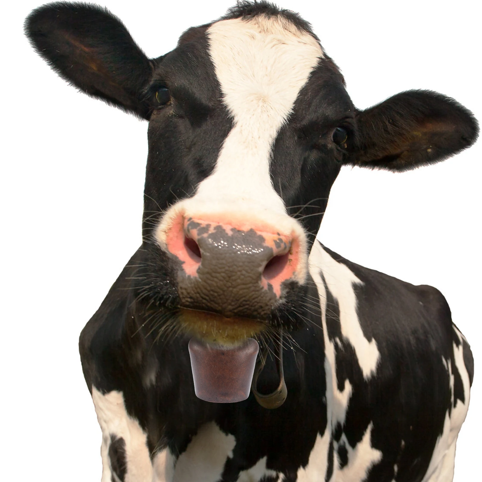 

2Pcs Metal Cattle Bells Durable Iron Farming Accessories Grazing Supplies Anti Lost Decorative Livestock Collar Ornaments