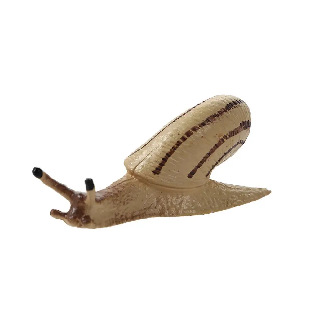Biology Growth Cycle Ornaments Grasshopper Life Cycle Figures Cycle Mantis Figurine Praying Mantis  Snail Growth Cycle