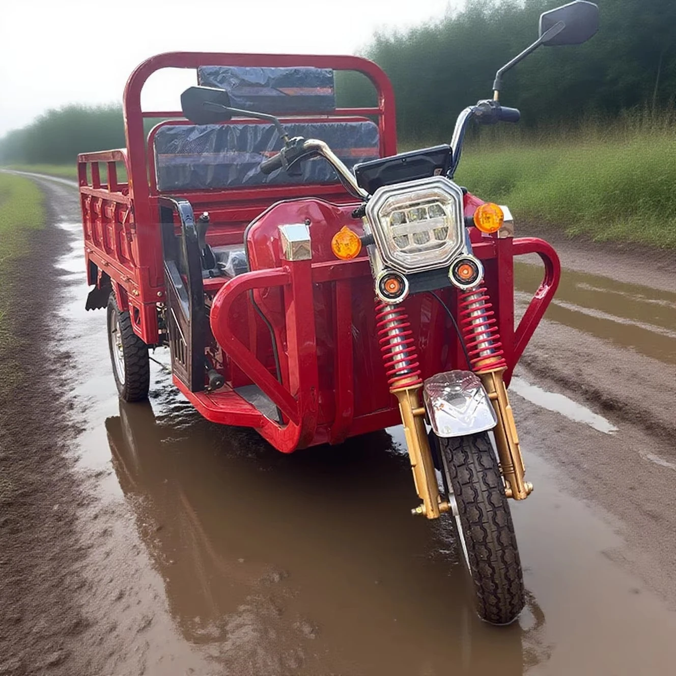 WB  1000W electric freight tricycle, can carry 2 people, optional open body, 1 ton dump truck bucket tricycle,
