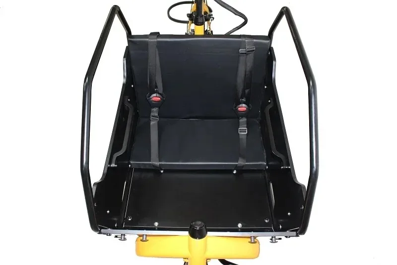 250W Electric Cargo Trike or Carry Children with Wood Box and Bafang Hub Motor KMC Chain Driver 7 Speeds Disc Brake