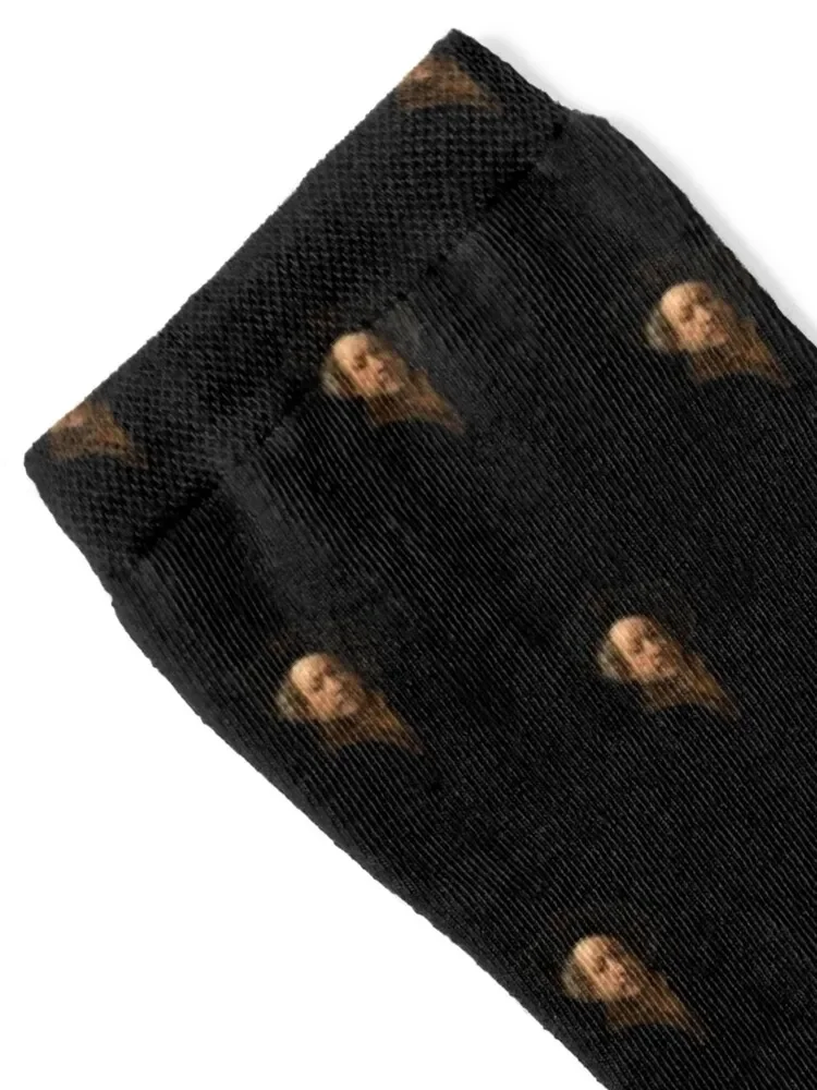 Rembrandt portrait Socks funny gifts Stockings compression cool Socks Men Women's