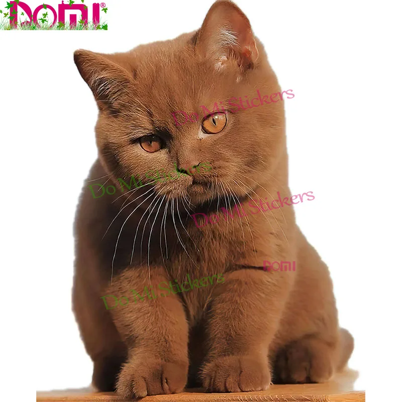 Lovely Cat Persian Cat Birman Bombay British Shorthair Decal Motocross Racing Laptop Helmet Trunk Wall Vinyl Car Sticker Die-Cut