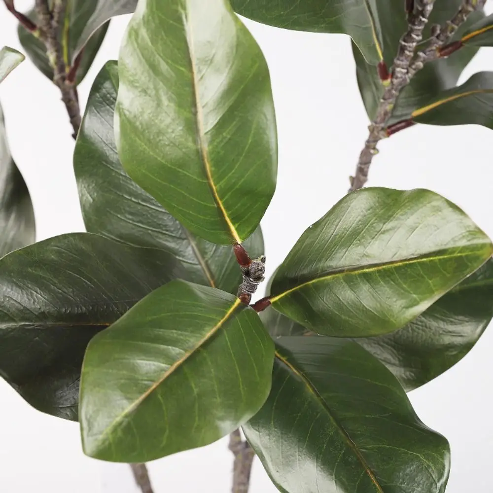 

Large Artificial Magnolia Plant Rubber Leaves Handmade Simulated Magnolia Tree Branch 110cm 2 Forks Artificial Plants Home