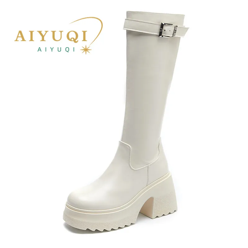 AIYUQI Long Boots Women 2026 New Women's High Heel Boots 10cm Heel High Platform Fashion Skinny Rider Boots Women