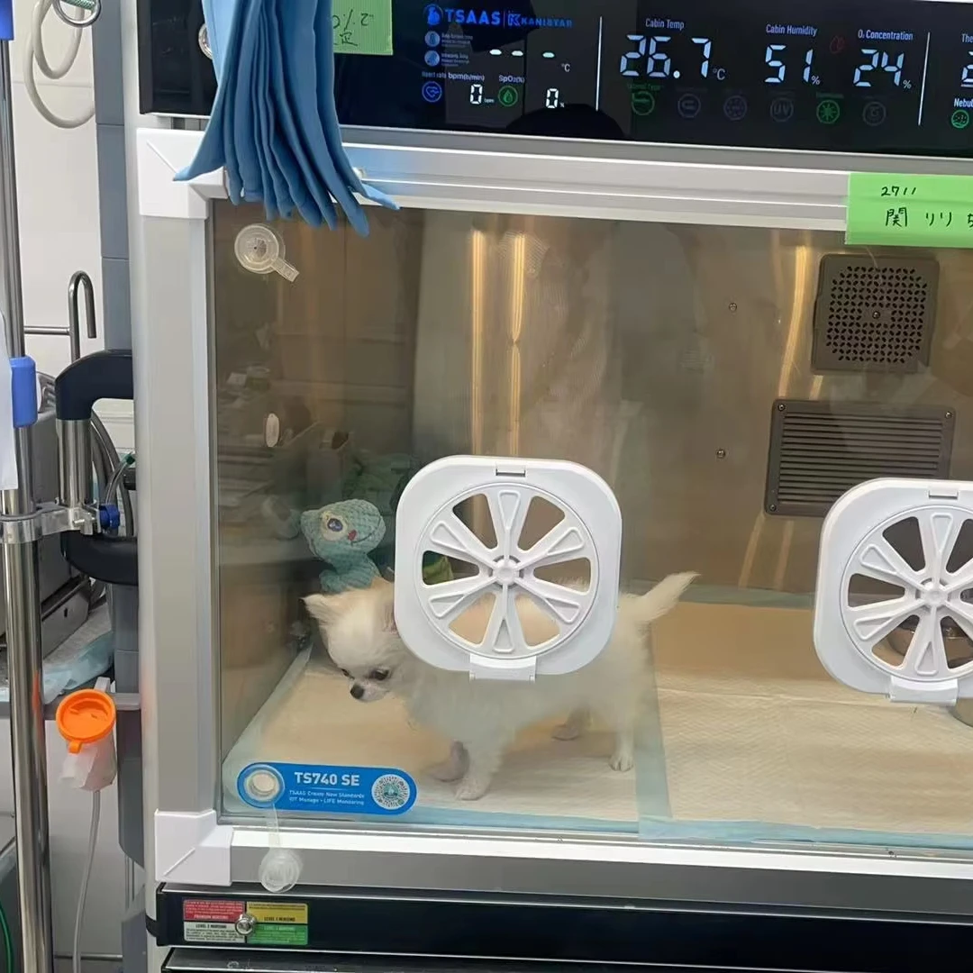 

Pet Hospital Intensive Care Pet ICU Cage Stainless Steel Veterinary Oxygen Cage Chamber Cages