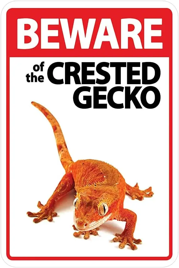 

Остерегайтесь хохлатых металлических знаков Gecko, металлический знак, мотивационный настенный знак, винтажный металлический знак, деревенские знаки фермерского дома для H