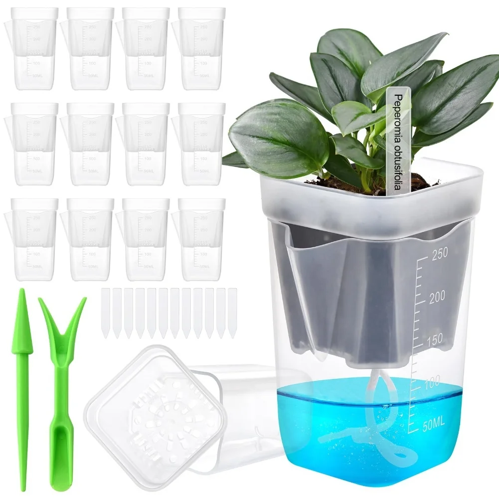 12-Piece Self-Watering Plant Pots Featuring Double-Layer Transparent Design and Side Water Inlet for Delicate Roots