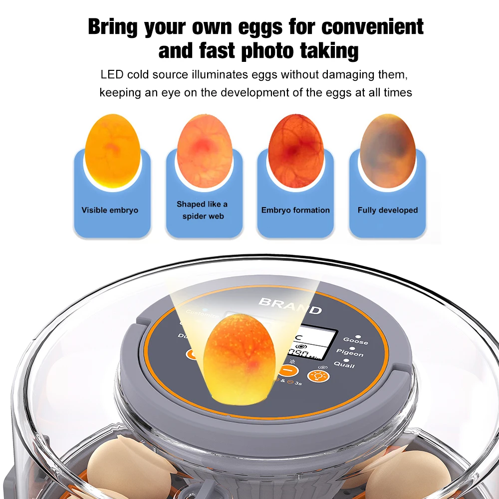 2025年自動12個回転式湿度制御孵卵器（ペット用品）